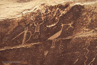Petrified Forest 04