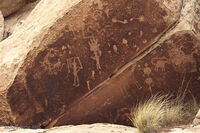 Petrified Forest 06