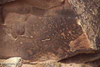 Petrified Forest 15