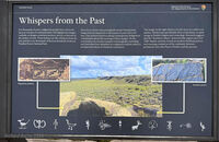 Petrified Forest 21