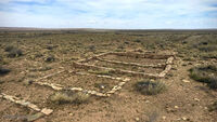 Petrified Forest 23