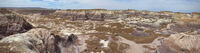 Petrified Forest 27