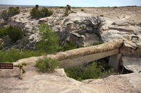 Petrified Forest 32