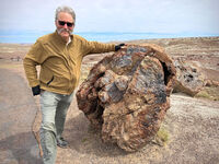Petrified Forest 52