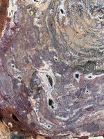 Petrified Forest 58