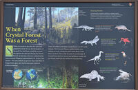 Petrified Forest 68
