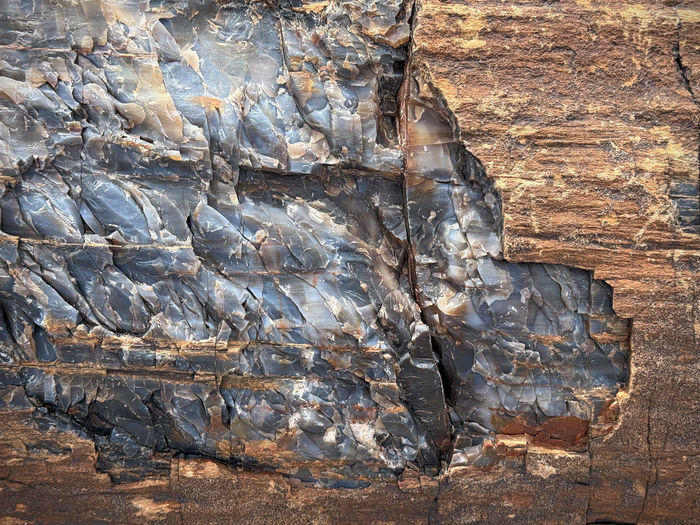 Log with Bark Still On (All Stone!)