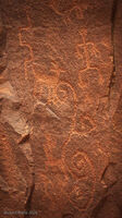 Crane Petroglyphs 09