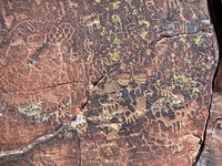 Crane Petroglyphs 29