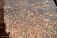 Crane Petroglyphs 31