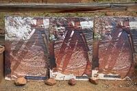 Crane Petroglyphs 35