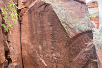 Crane Petroglyphs 36