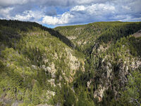 Arizona 03
