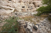 Arizona 10