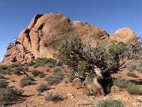 Arches 2026 14