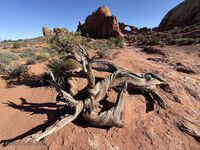 Arches 2026 15