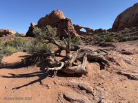 Arches 2026 16
