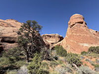 Arches 2026 26