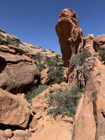 Arches 2026 39