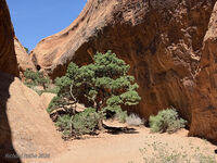 Arches 2026 47