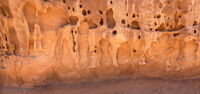 Arches 2026 48