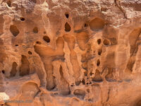 Arches 2026 49