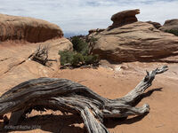 Arches 2026 58