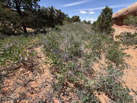 Arches 2026 59