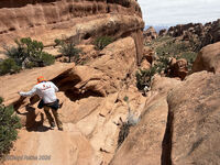 Arches 2026 61