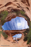 Arches 2026 76