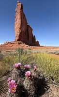 Arches 2026 80