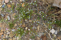 Nine Mile Canyon 065