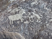 Nine Mile Canyon 102
