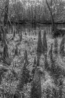 0021 Hdr Santa Fe River 