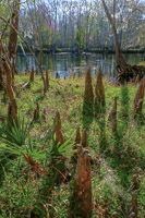 0022 Hdr Santa Fe River 