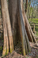 0024 Hdr Santa Fe River 