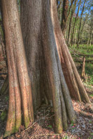 0026 Hdr Santa Fe River 