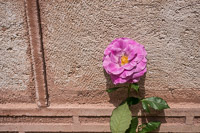 0021 Hagia Sophia Turkey 2016 